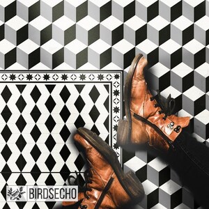 May include: Black and white diamond patterned rug with a black border and white stars. Two brown leather boots are on the rug, with the background showing a black, white, and grey 3D cube pattern.