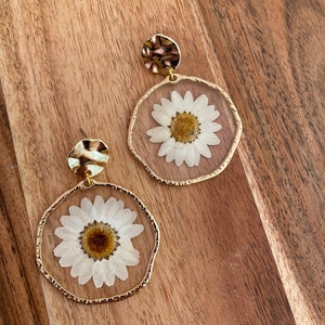 Daisies