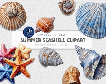 Paquete de imágenes prediseñadas de conchas marinas: 40 imágenes de playa de verano (descarga digital)