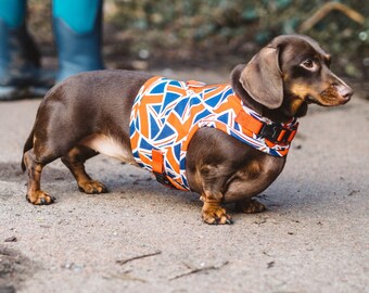 custom dachshund harnesses