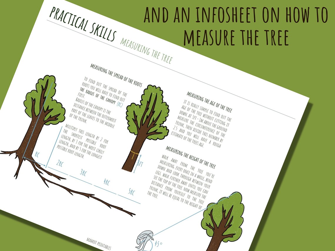 Printable Homeschool Nature Unit Study, Tree Study and Worksheets for ...