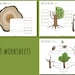 Printable Homeschool Nature Unit Study, Tree Study and Worksheets for ...