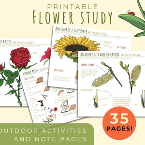 Printable flower unit study Charlotte Mason nature study Montessori printable Flower study bundle Homeschool toddler learning activity