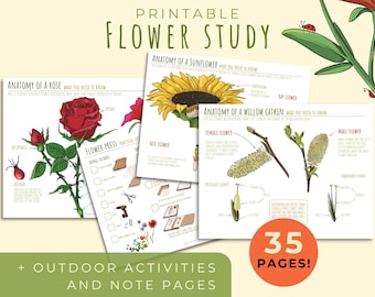 Printable Flower Unit Study: Homeschool Learning Activity (35 PDF Pages)