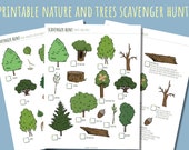 Printable Nature Scavenger Hunt: Outdoor Activity (PDF)