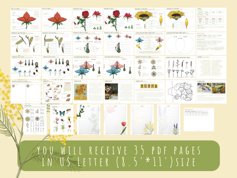 Printable Flower Unit Study: Homeschool Learning Activity (35 PDF Pages ...
