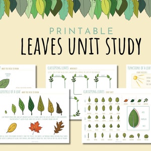 Höstlöv Enhetsstudie: Naturinlärning, Montessoriaktivitet (PDF)
