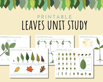 Fall Leaves Unit Study: Nature Learning, Montessori Activity (PDF)