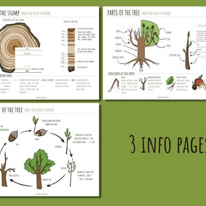 Printable Tree Study Bundle: Homeschool Nature Unit (PDF) - Etsy