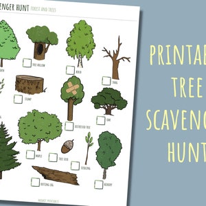 Printable tree scavenger hunt Nature activities for toddler learning Homeschool nature Montessori nature walk printable Charlotte Mason