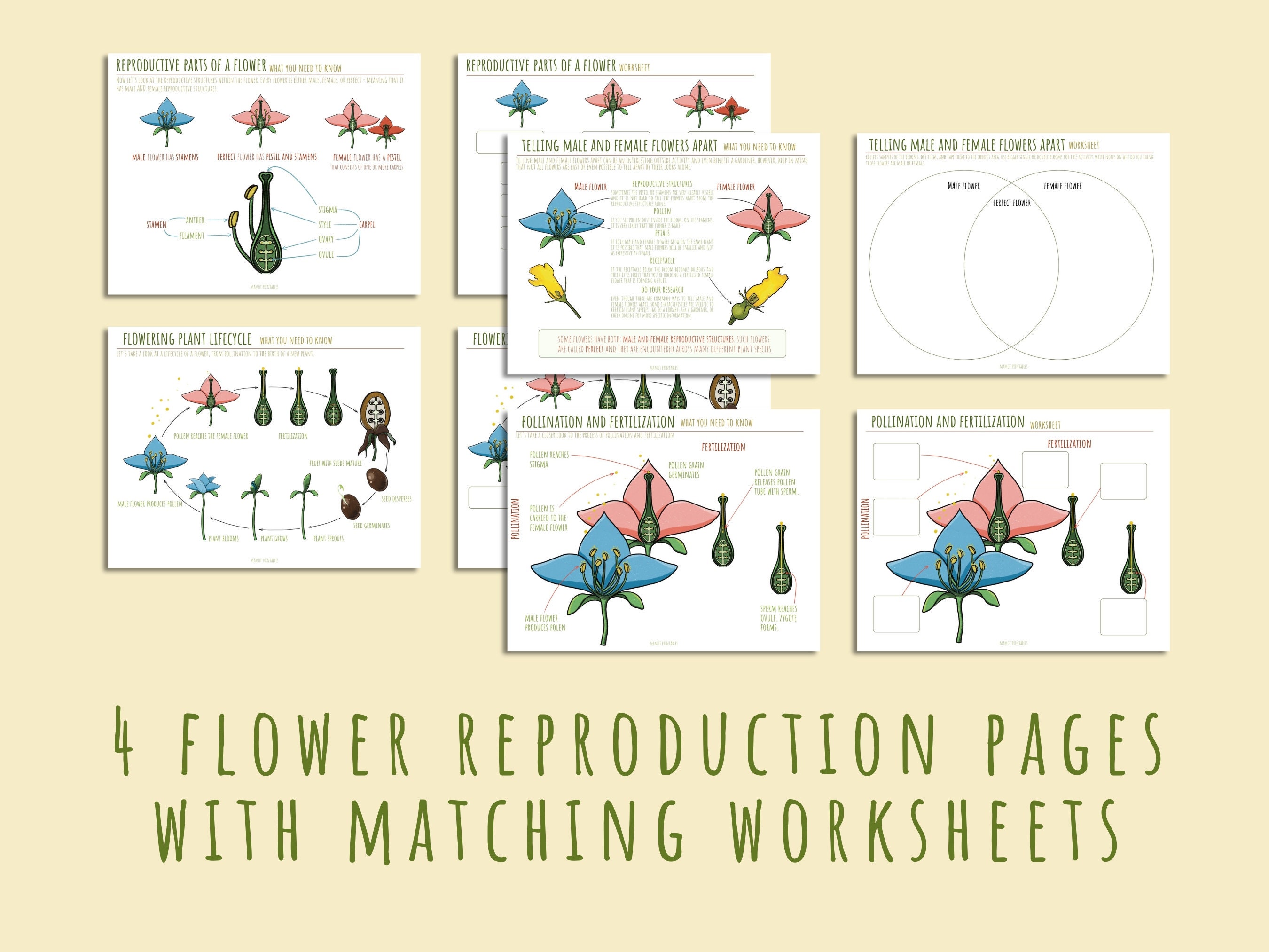 Printable Flower Unit Study: Homeschool Learning Activity (35 PDF Pages ...