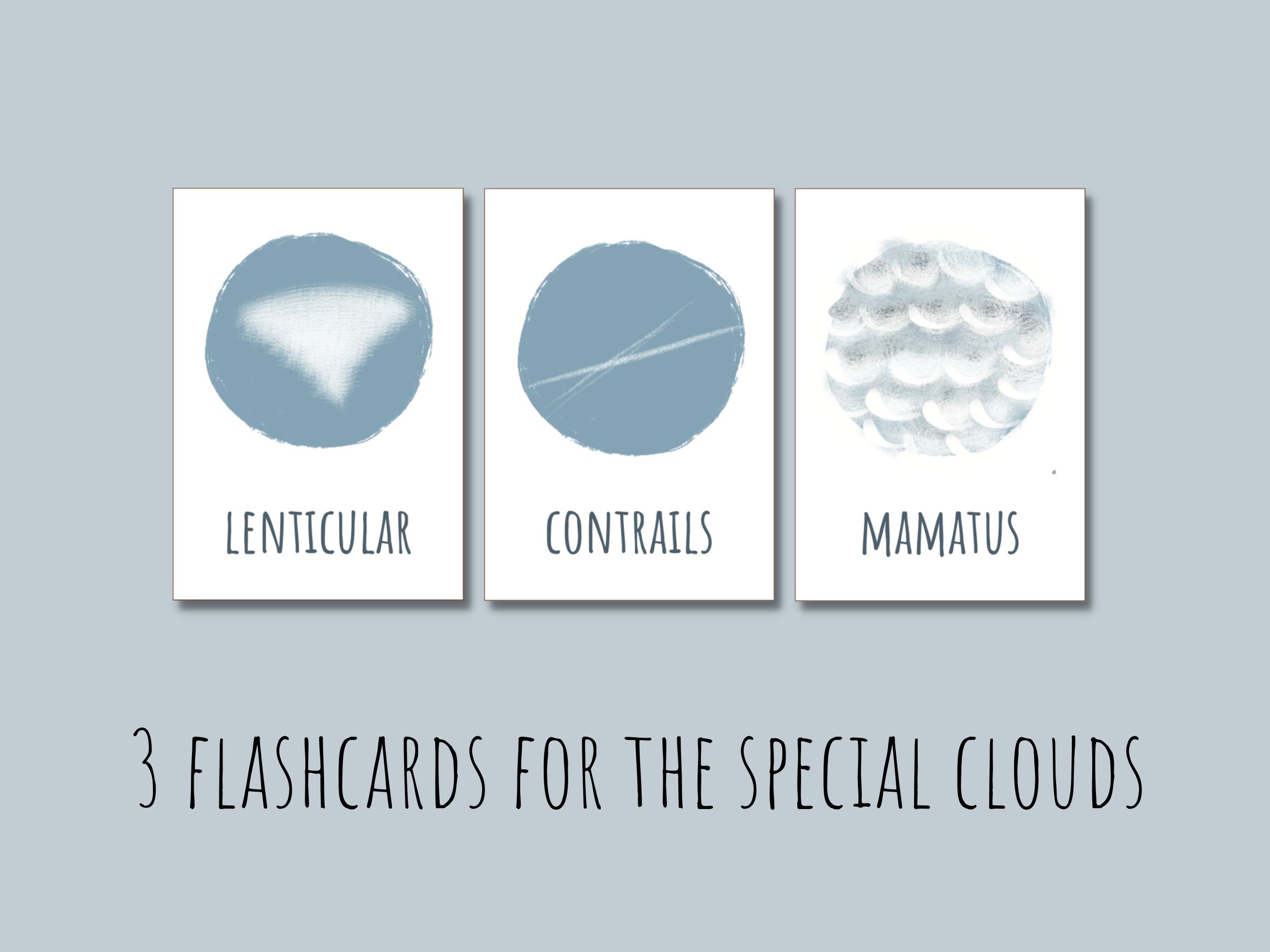 Printable Cloud Types Flashcards Montessori Toddler Learning Etsy