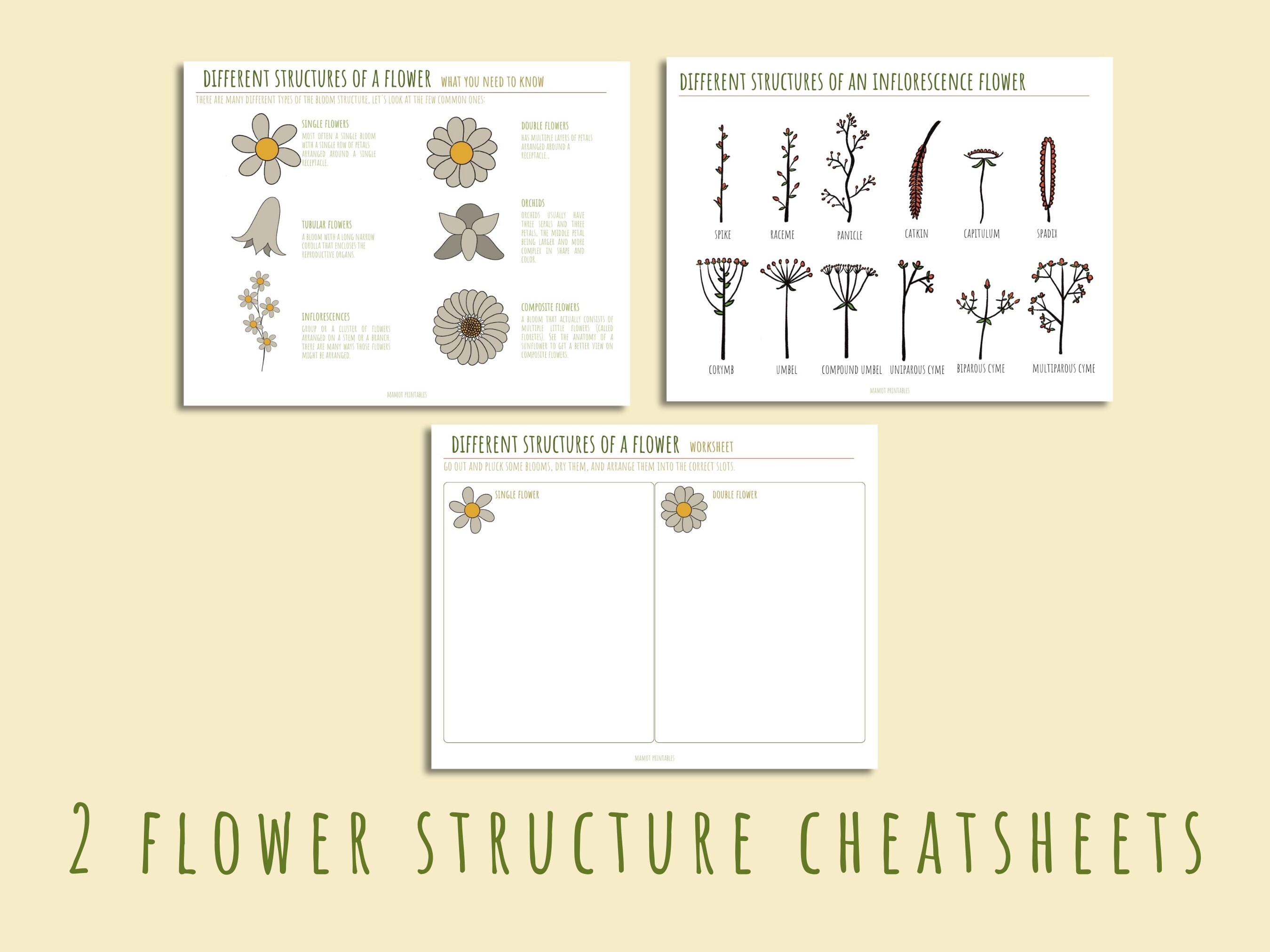 Printable Flower Unit Study: Homeschool Learning Activity (35 PDF Pages ...