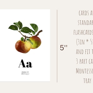 Printable Alphabet Flashcards for a Toddler Learning to Read ...