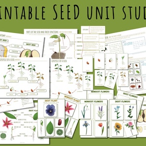 Printable seed unit study, Homeschool nature bundle, Montessori nature learning resources, printable worksheets for kids, plant life cycle