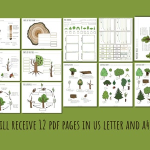Printable Homeschool Nature Unit Study, Tree Study and Worksheets for ...