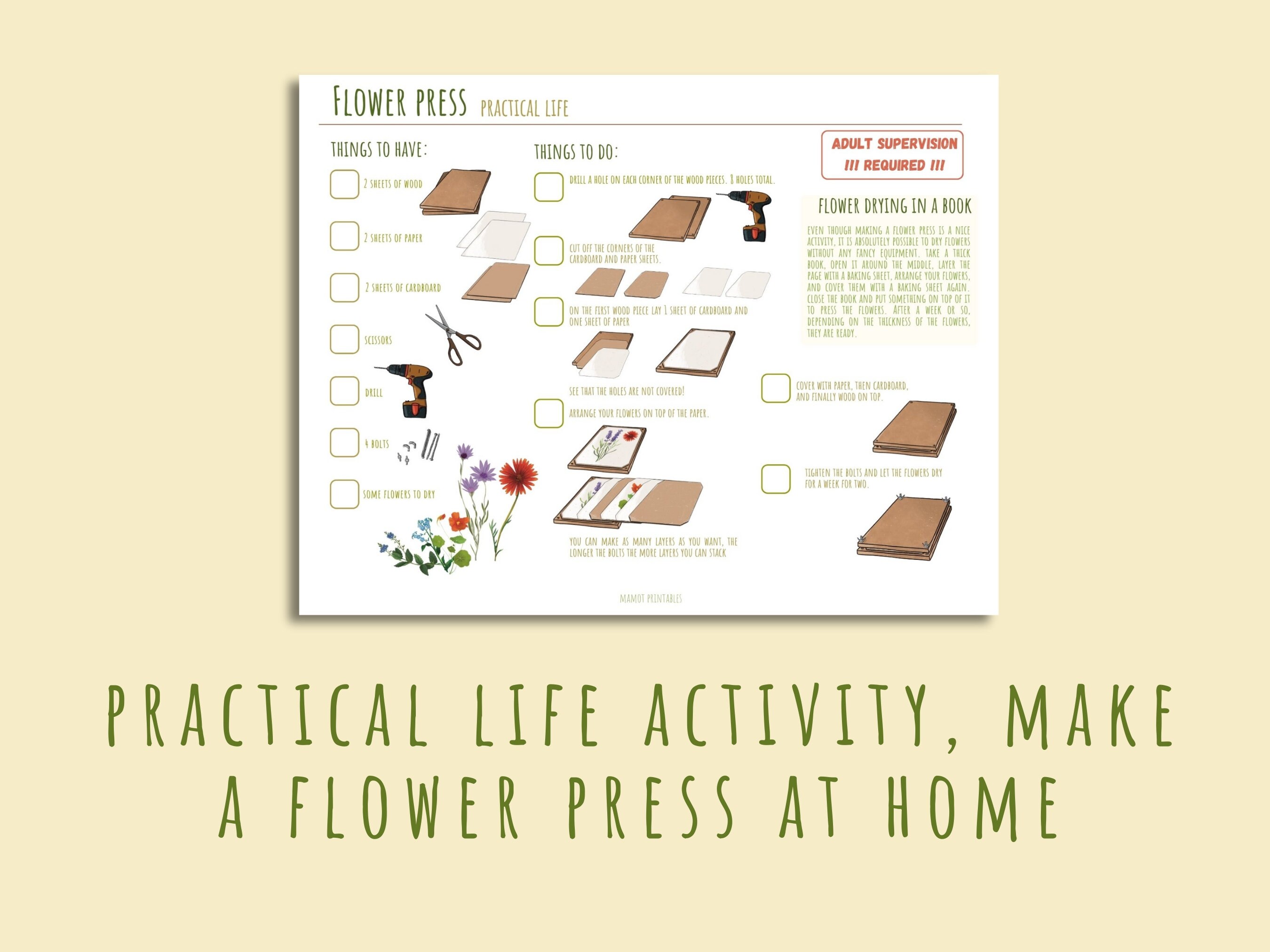 Printable Flower Unit Study: Homeschool Learning Activity (35 PDF Pages ...