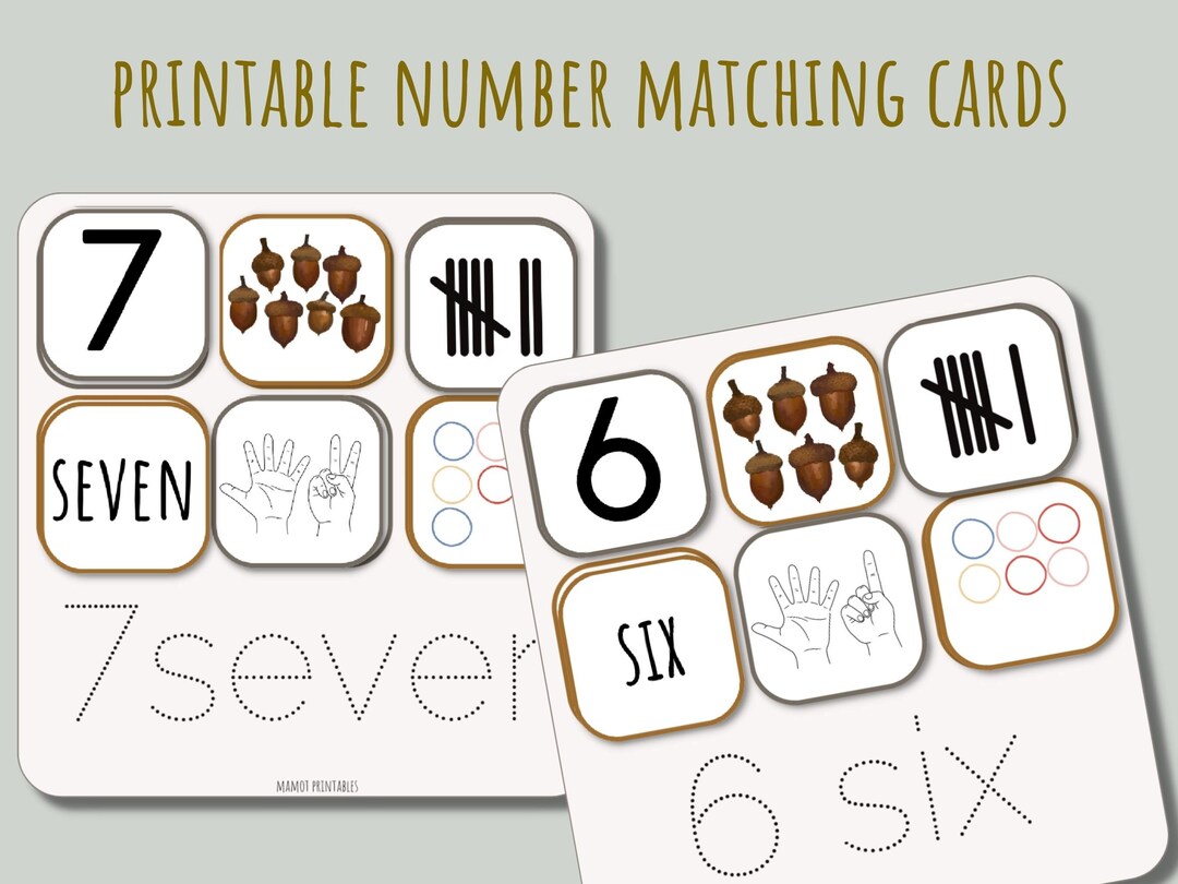 Printable Preschool Activity Number Match Cards, Math for Kids ...