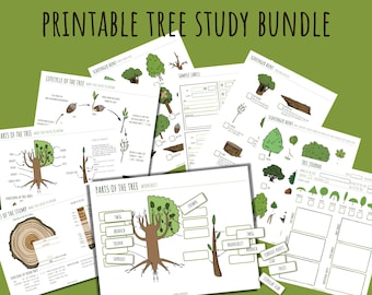 Printable Tree Study Bundle: Homeschool Nature Unit (PDF)