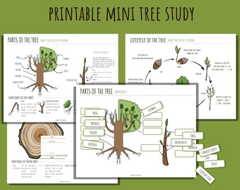 Printable Tree Study: Homeschool Nature Worksheets (PDF)