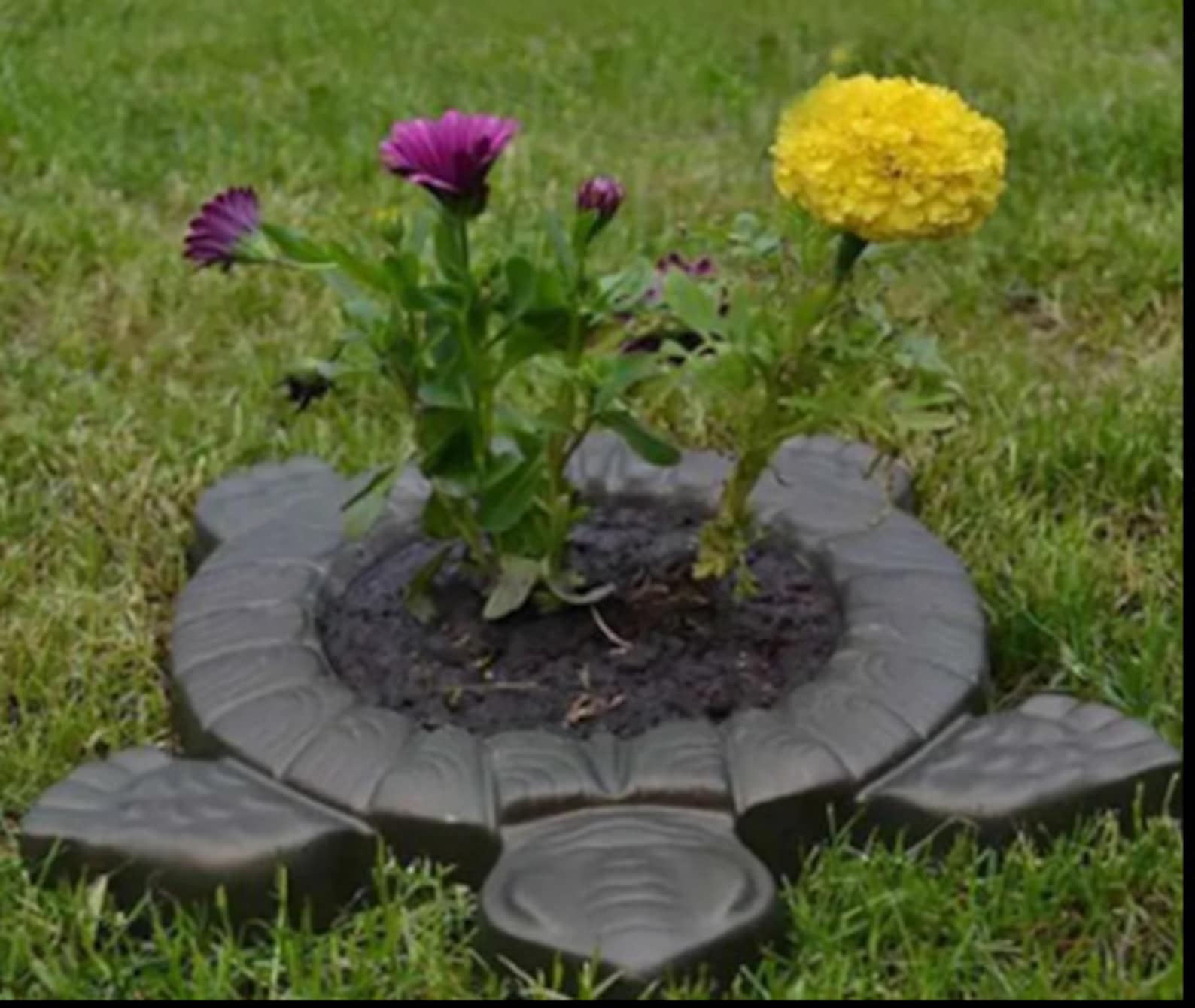 1 Schildkröte Gießform Garten deko Pflanzrahmen Beton ...