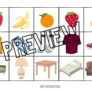 Category Cards, 9 categories included with 5 items each. Real and Cartoon category pictures, speech therapy flash cards