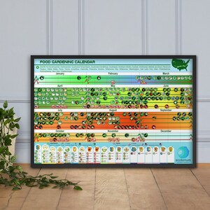 Food Growing Planner for Zone 9b, Unframed Poster 18 X 24 Inches,  Educational Poster for School Wall Decor, Planting and Harvesting Calendar  - Etsy