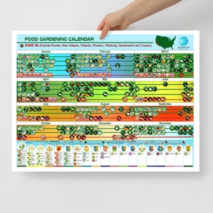 Food Growing Planner For Zone 9b, Unframed Poster 18 x 24 Inches, Educational Poster For School Wall Decor, Planting And Harvesting Calendar