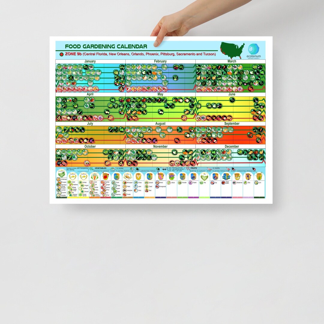 Food Growing Planner for Zone 9b, Unframed Poster 18 X 24 Inches