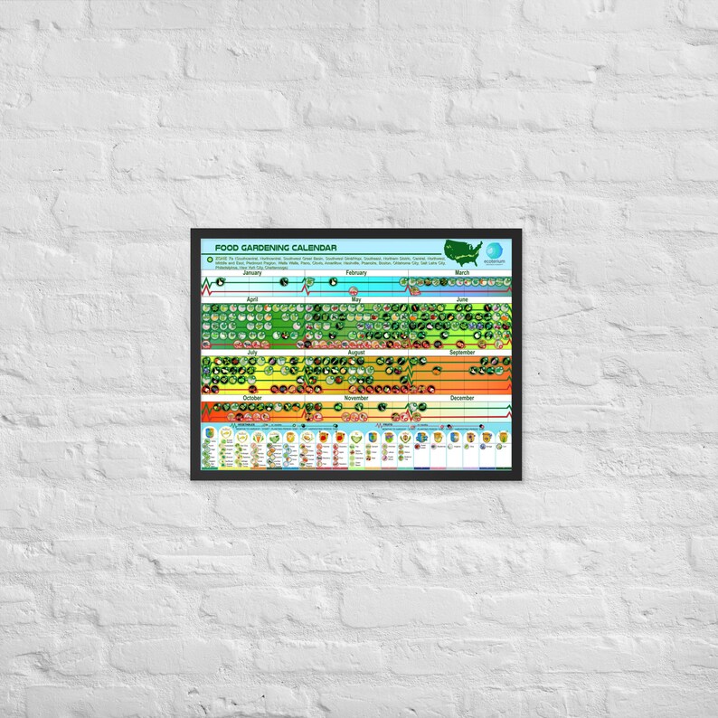Framed Educational Poster Planting Calendar Zone 7a Etsy