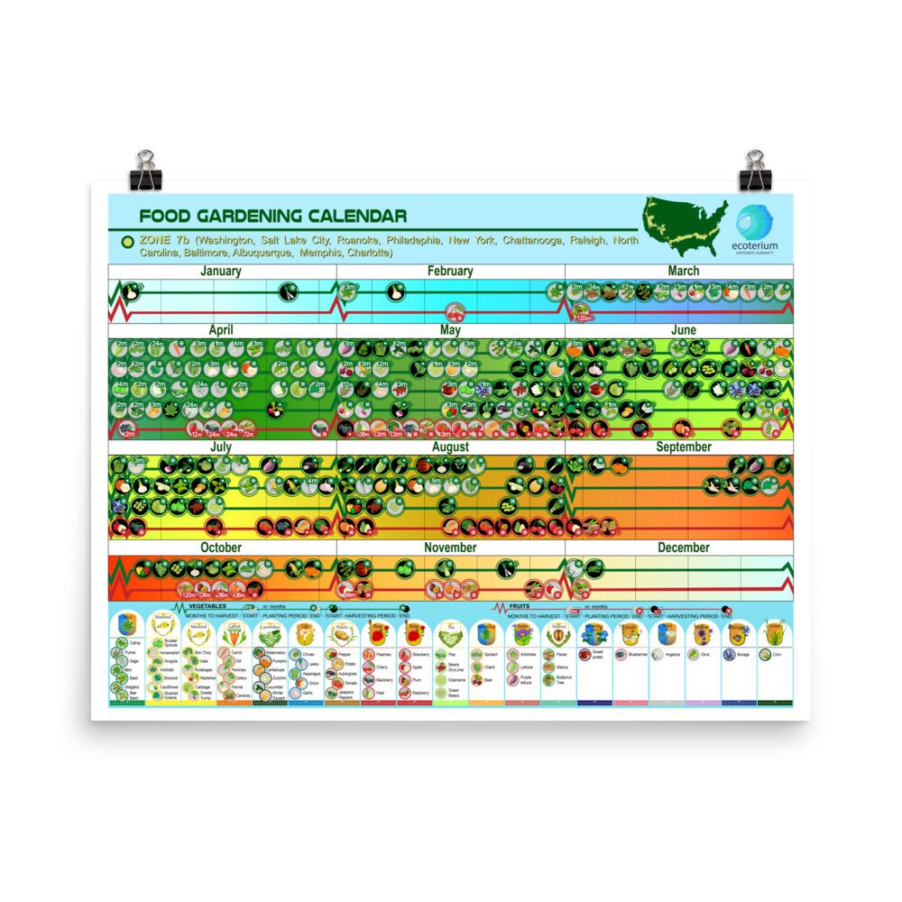 Food Gardening Calendar, Planting Calendar Zone 7b, Unframed Poster 1824  Inches, Educational Poster, Gardening Gift, Wall Hanging - Etsy