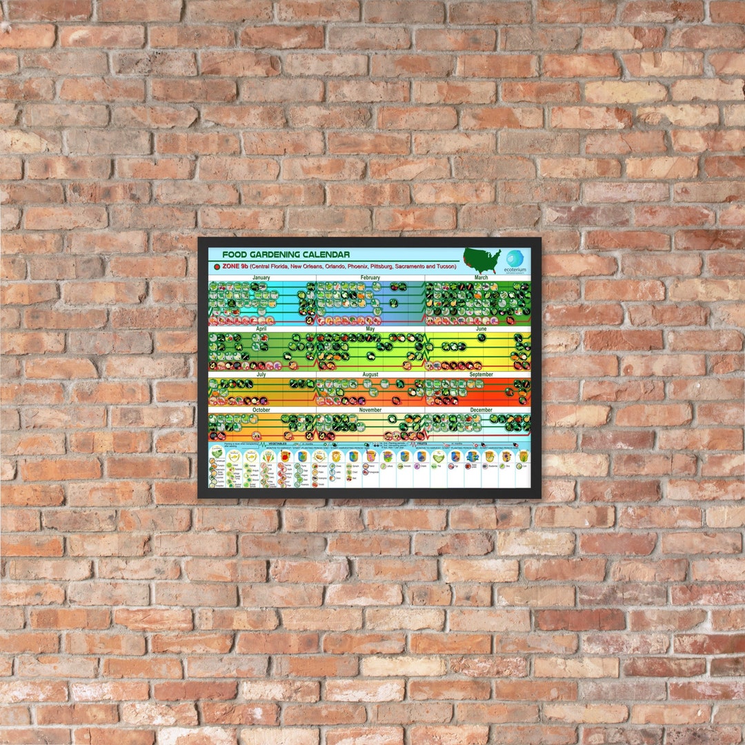 Food Gardening Zone 9b Poster, 18 X 24 Inches, Ready to Hang Framed ...