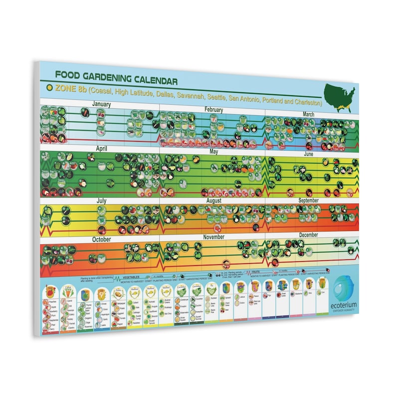 Food Planting Calendar Zone 9a, Grow Your Own Food Poster, Harvesting