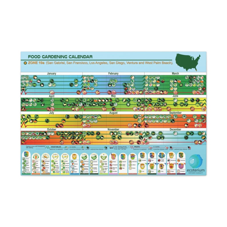 Food Growing Calendar for Zone 10a USA, 36 X 24, Food Planting and