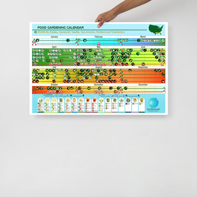Zone 8b Planting Calendar Unframed Poster 24 X 36 Inches Etsy