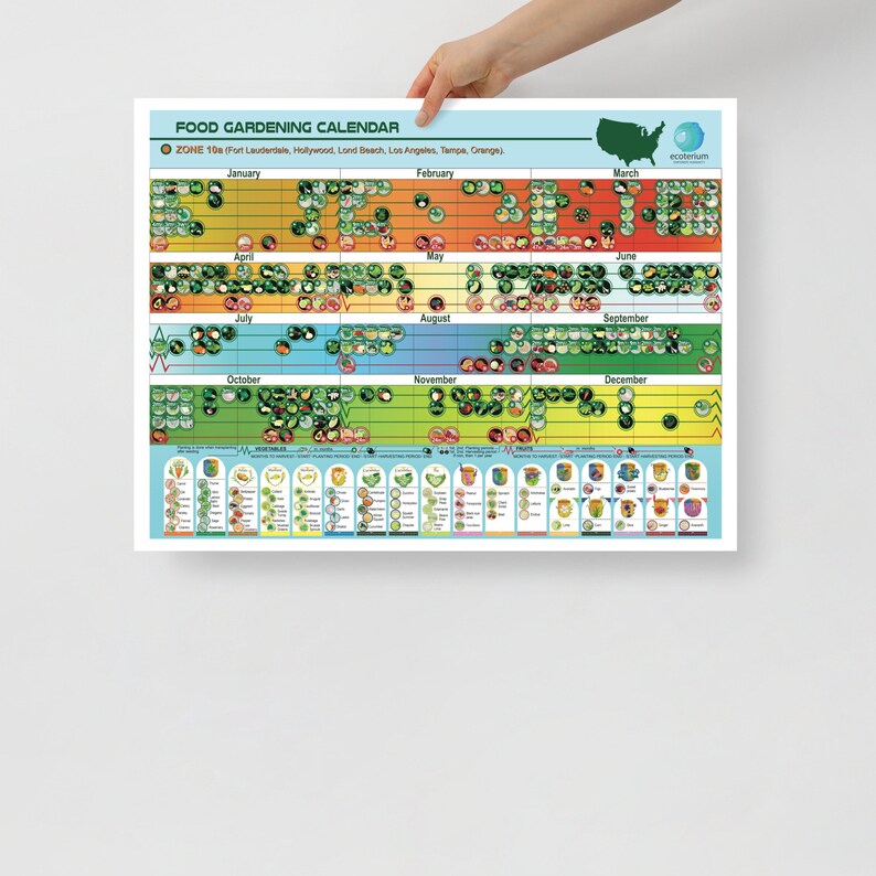Food Growing Calendar for Zone 10b, Unframed 18x24 Inch Poster, Grow Your Own Food Schedule