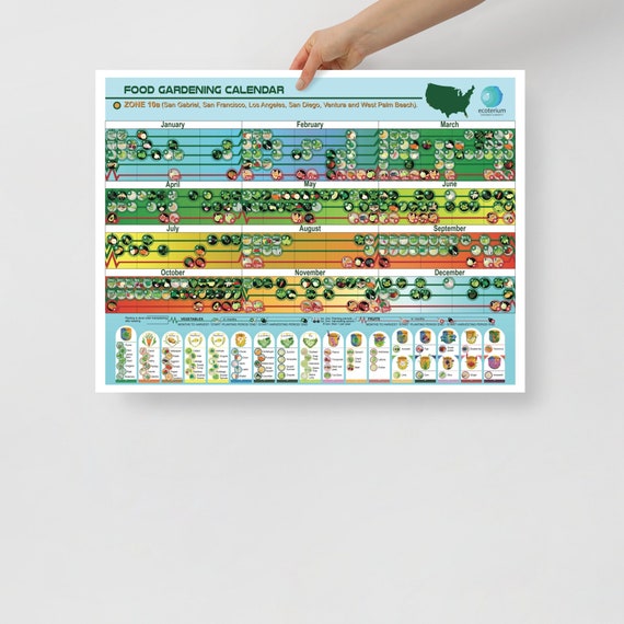 10a Zone Poster for Food Growing, 18x24 Inches, Unframed Print of Food Growing  Calendar for Zone 10a, Planting Chart for Food - Etsy