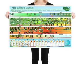 Planting and Harvesting Calendar for Zone 7b, Unframed Poster 24 X 36  Inches, Food Growing Poster, Gift for Teacher - Etsy