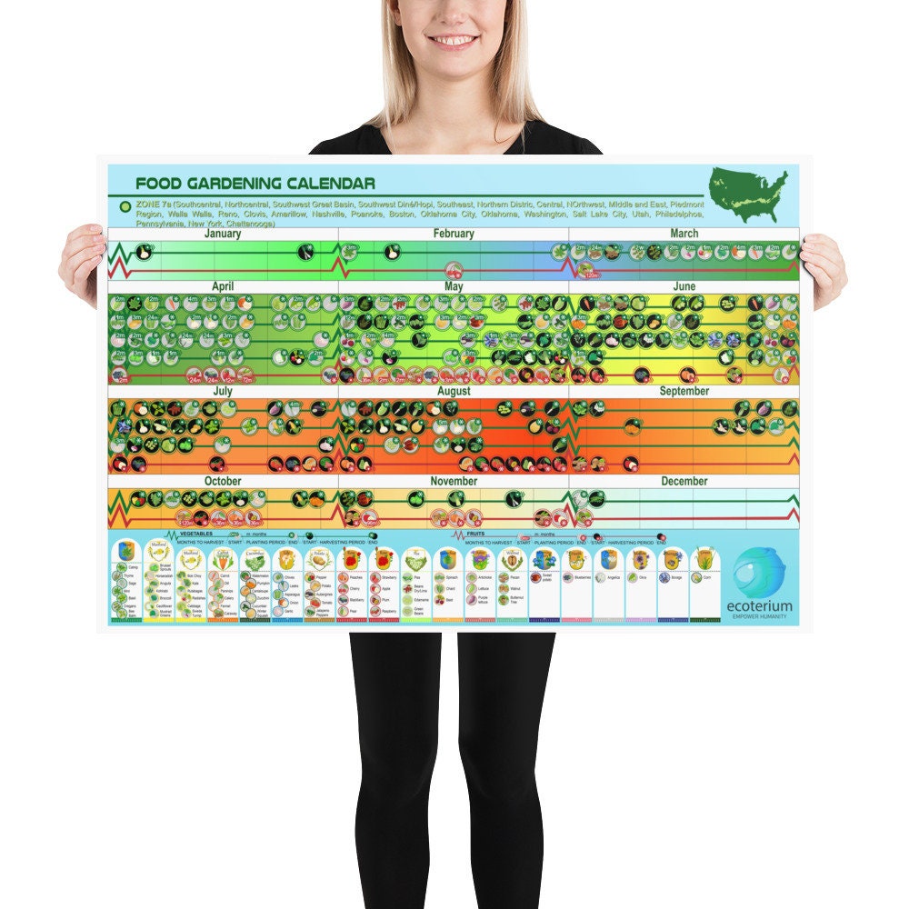 Planting and Harvesting Calendar for Zone 7b Unframed Poster - Etsy