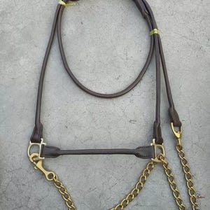 Premium Indian Leather Horse Halter – Brass Fittings – Show Headcollar Full Size