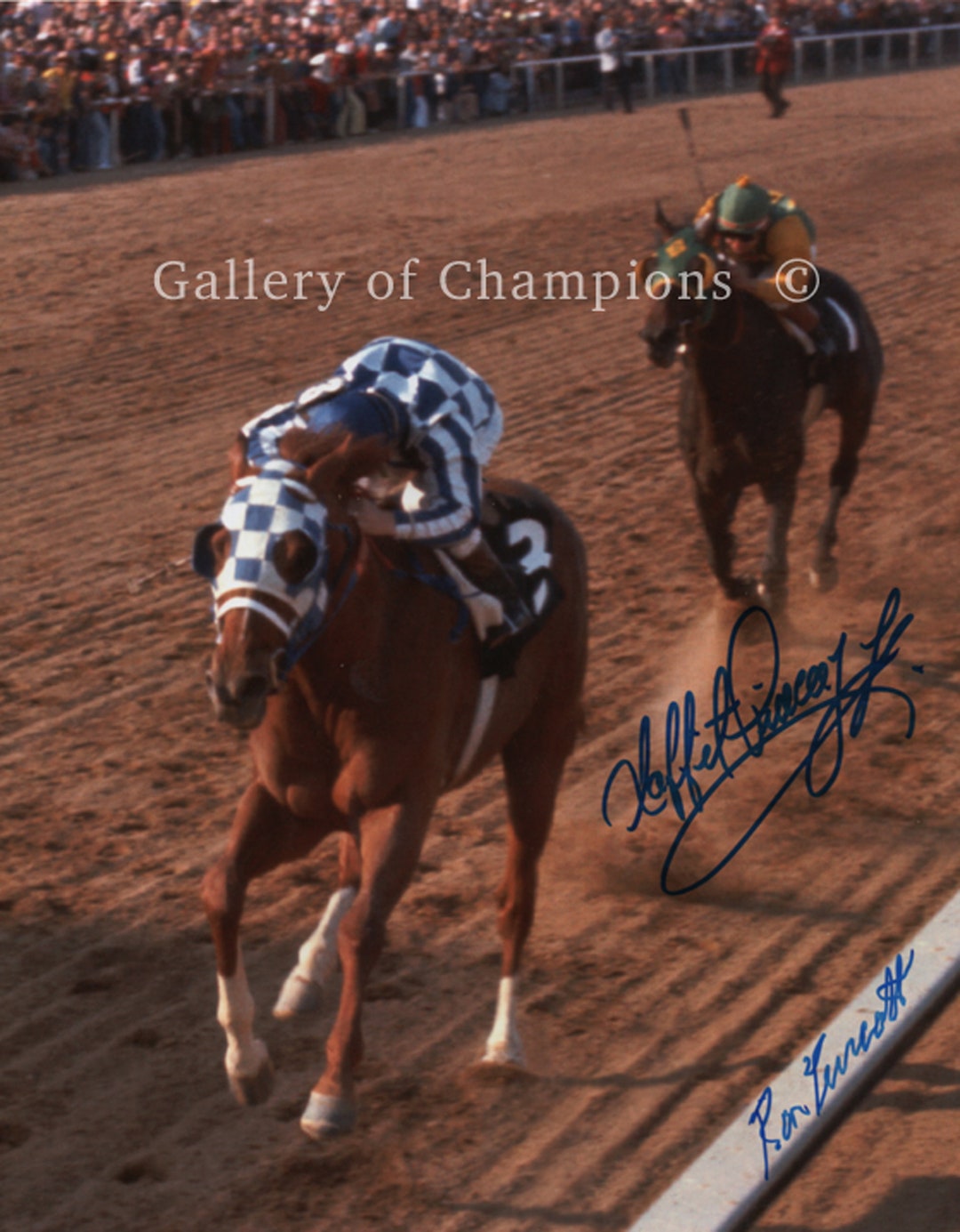 thumbnail image 2 of Own A Piece Of Horse Racing History! This Is An Original 8x10 Photo Of Secretariat And Ron Turcotte Taking 'The Leap' At The 1973 Preakness Stakes. A Must-have For Any Racing Fan. 2 of 4