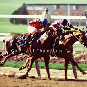 Affirmed Belmont Stakes Photo #408