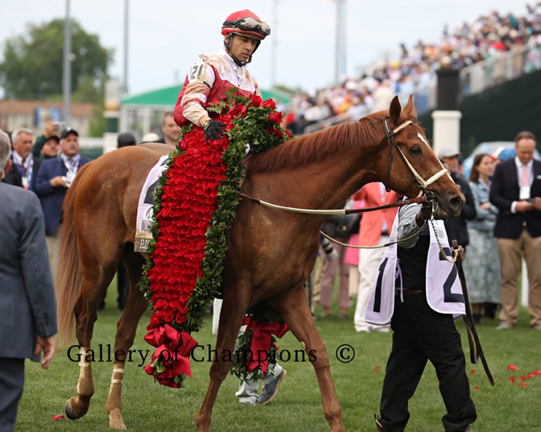 Rich Strike 2022 Kentucky Derby Roses Photo Etsy
