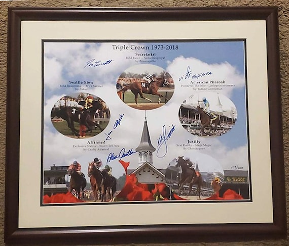 Race Horse Triple Crown Winner Justify Picture Pedigree Chart Collectible