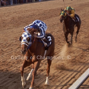 Secretariat 1973 Preakness Photo #104