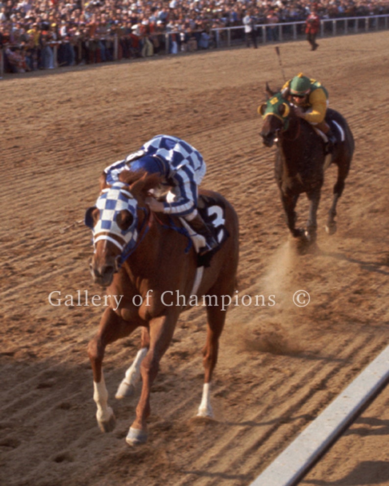 Secretariat 1973 Preakness Finish Photograph – Multiple Sizes 8x10 To 24x30