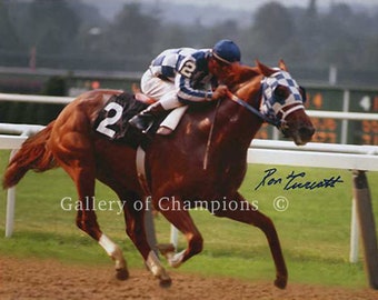 Secretariat 1973 Belmont Stakes Photo #107 Signed Ron Turcotte