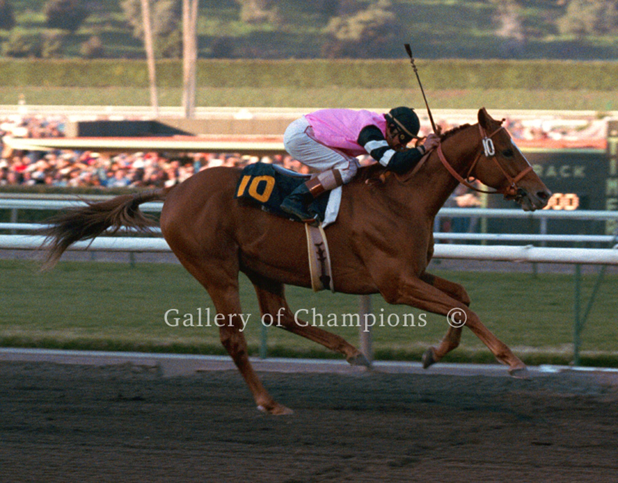 Art & Collectibles Collectibles Affirmed Alydar 1978 Kentucky Derby