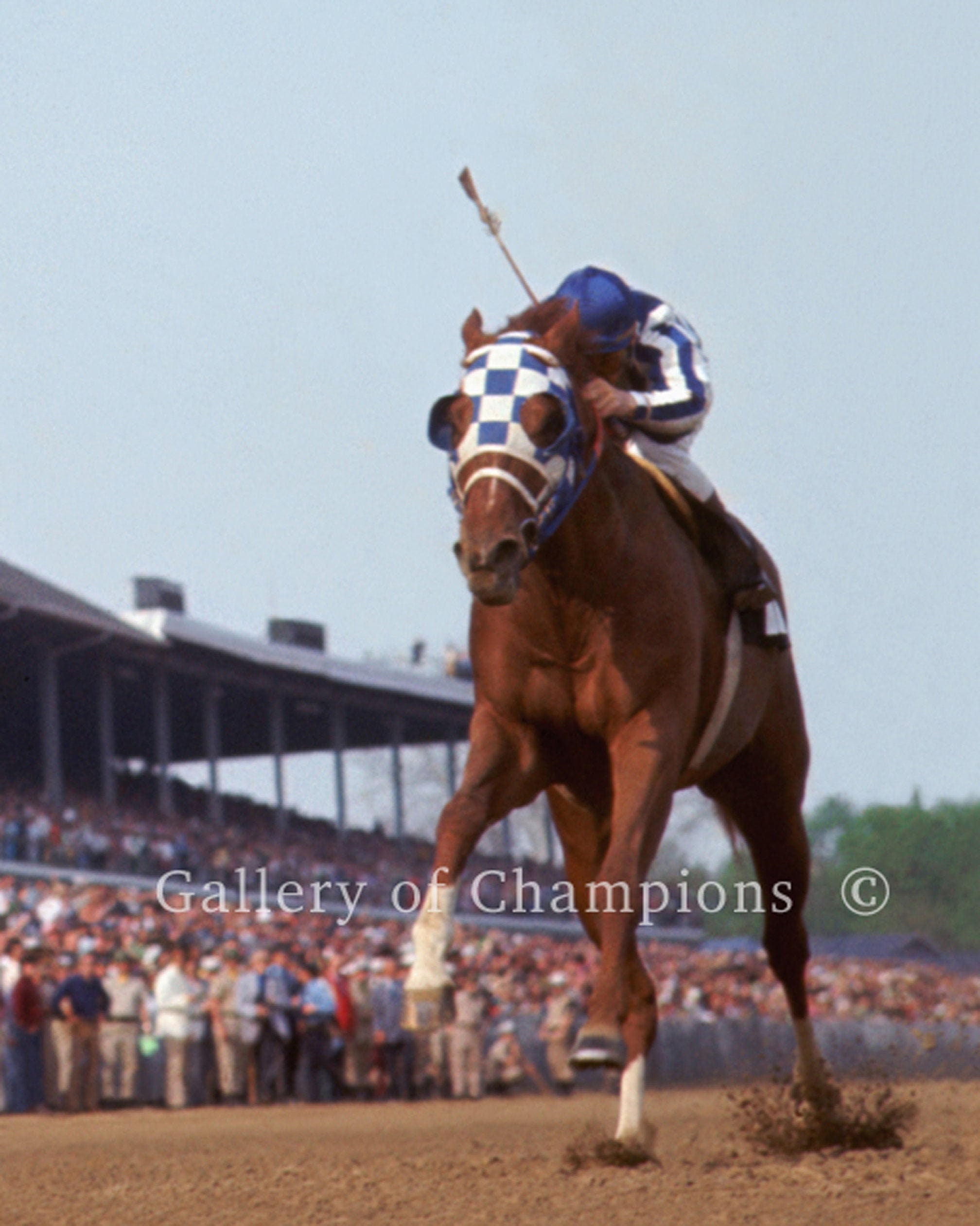 Secretariat Kentucky Derby Photo #105