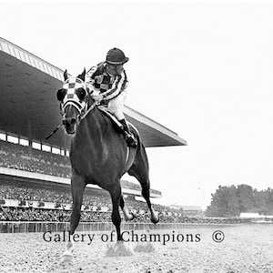 Secretariat Belmont Stakes Photo D12